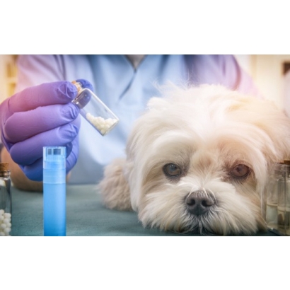 誘導多.jpg 誘導多.jpg