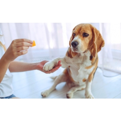 毛囊.jpg 毛囊.jpg