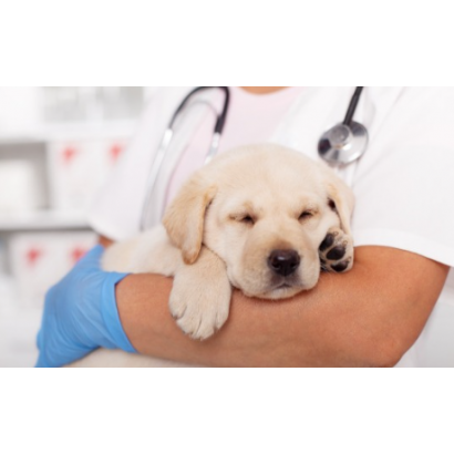 Snipaste_2024-11-22_11-28-50.png Snipaste_2024-11-22_11-28-50.png